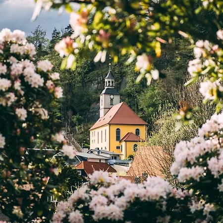 Feel Good - Zentrale 65qm Design Im Zittauer Gebirge - Bahnhofsnah In Ruhiger Lage